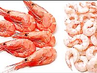 Красная глубоководная креветка Pandalus borealis