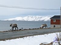 Норвегия природа в первозданном виде пара кадров для морской рыбалки