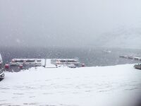 Неделя на Seiland Brygge в северной Норвегии: треска стеной