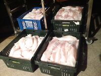 Неделя на Seiland Brygge в северной Норвегии: треска стеной