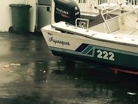 Перевёрнутая лодка у берега: сводка прессы