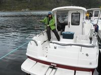 Навигатор подводная скала и касатка у борта