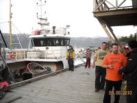 Люнген креветочники на ходу и креветки с борта