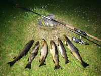 Озёрная рыбалка в Норвегии и Долмсундет Марина