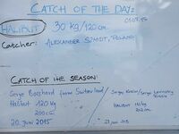 Торсваг в Норвегии фото и рыбы хватило всем