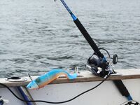 Торсваг в Норвегии фото и рыбы хватило всем