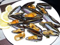 Мидии против местной форельки в Норвегии