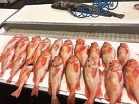 Пятачок 700 м и серия поклёвок на одном месте