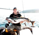 Норвегия крупная сайда и ключ к поклёвке фото позже