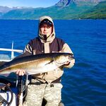 Норвегия крупная сайда и ключ к поклёвке фото позже