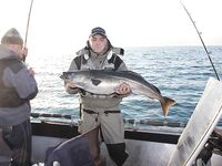 Сайда на 80 и 25 м, разная борьба