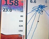 Торсвог август 2015 морская рыбалка по сайде 6–12.5 кг