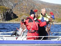 Стригун, крабовая тема и рыбалка на фоне