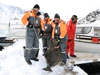 Норвегия, открытие сезона 2016 и первые кадры