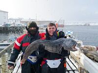 Сорёйя, Норвегия — зубатка у знакомых