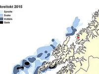 Скрей в Норвегии: почему вне Лофотен попадается мелочь