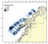 Скрей в Норвегии: почему вне Лофотен попадается мелочь