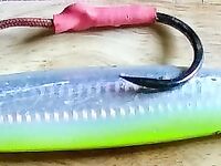 Пилькеры в Норвегии - скорость падения и Vortex