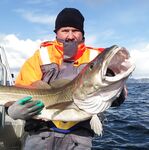 Фотоотчёт с базы BigFishAdventure на Сёрёйе