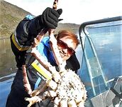 Майская поездка на Сёрёйю и кадры с базы BigFishAdventure