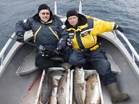 Норвегия: Mefjord Brygge и морская рыбалка на плато