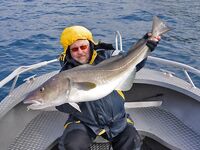 Норвегия: Mefjord Brygge и морская рыбалка на плато