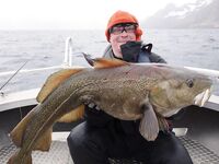 Норвегия: Mefjord Brygge и морская рыбалка на плато