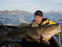 Норвегия: Mefjord Brygge и морская рыбалка на плато
