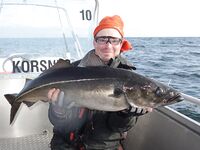 Норвегия: Mefjord Brygge и морская рыбалка на плато