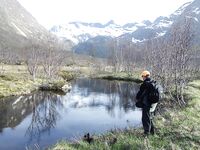 Норвегия: Mefjord Brygge и морская рыбалка на плато