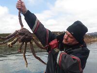 Норвегия, краб с надувнушки и бюджет поездки