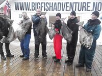 Набор команды в Норвегию на Сёрёйю и BigFishAdventure