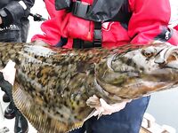 Набор команды в Норвегию на Сёрёйю и BigFishAdventure