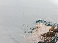 Набор команды в Норвегию на Сёрёйю и BigFishAdventure