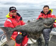 Норвегия: большое авто-путешествие и короткий рыболовный итог