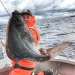 Норвегия: большое авто-путешествие и короткий рыболовный итог