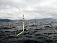 Норвегия, предоплата и сервис баз