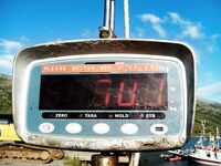 Норвегия: морская рыбалка и палтус 70 кг на 16 м