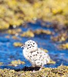 Фото с базы Vikran Vacation в Норвегии и немного моря