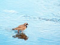 Фото с базы Vikran Vacation в Норвегии и немного моря