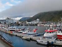 Кухня Норвегии для рыбака: копчёная макрель и мидии в сливках