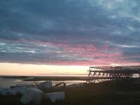 Кухня Норвегии для рыбака: копчёная макрель и мидии в сливках