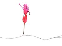 Троллинговые катушки и палки для рыбалки в Норвегии, мой рабочий набор