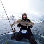 Фото не прикрепились, пометка в ленте