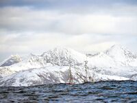 Вернулся в пролив, коллег укачало