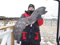 Сёрёйя: трофеи BigFishAdventure и морская рыбалка