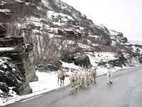 Путь в Норвегию и первый выход: морская рыбалка, шторм и дрейф