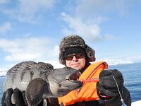 Норвегия: новичок и морская рыбалка 6–13 мая 2017