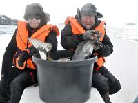 Норвегия: новичок и морская рыбалка 6–13 мая 2017