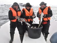 Норвегия: новичок и морская рыбалка 6–13 мая 2017